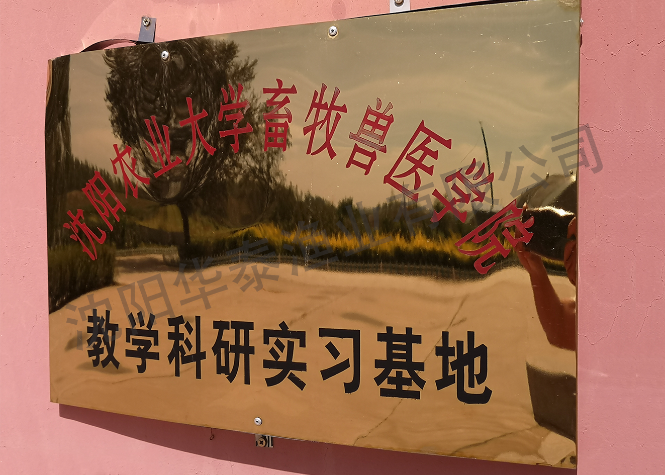 &#21315;&#20159;&#23448;&#32593;&#45;&#21315;&#20159;&#65288;&#20013;&#22269;&#65289;&#19968;&#31449;&#24335;&#26381;&#21153;&#23448;&#32593;